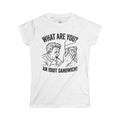 "What Are You? An Idiot Sandwich!" Funny Meme Women's Graphic T-Shirt