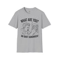 “What Are You? An Idiot Sandwich!” Funny Meme Men/Unisex Graphic T-Shirt