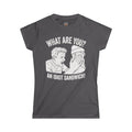 "What Are You? An Idiot Sandwich!" Funny Meme Women's Graphic T-Shirt